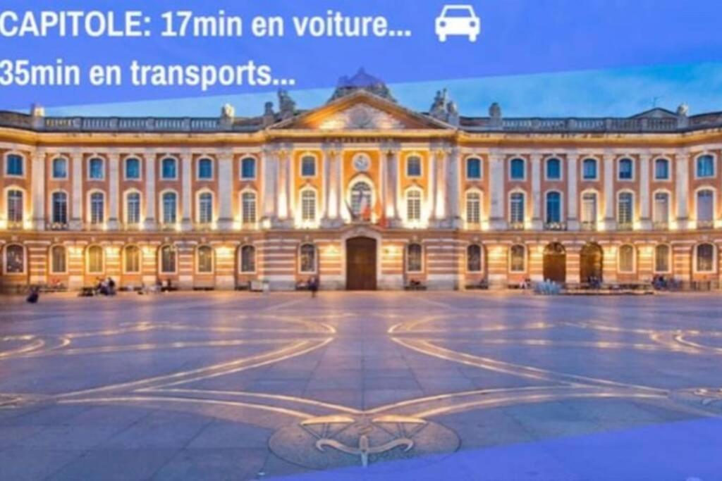 Appartement Cosy Avec Jardin A Blagnac. Экстерьер фото