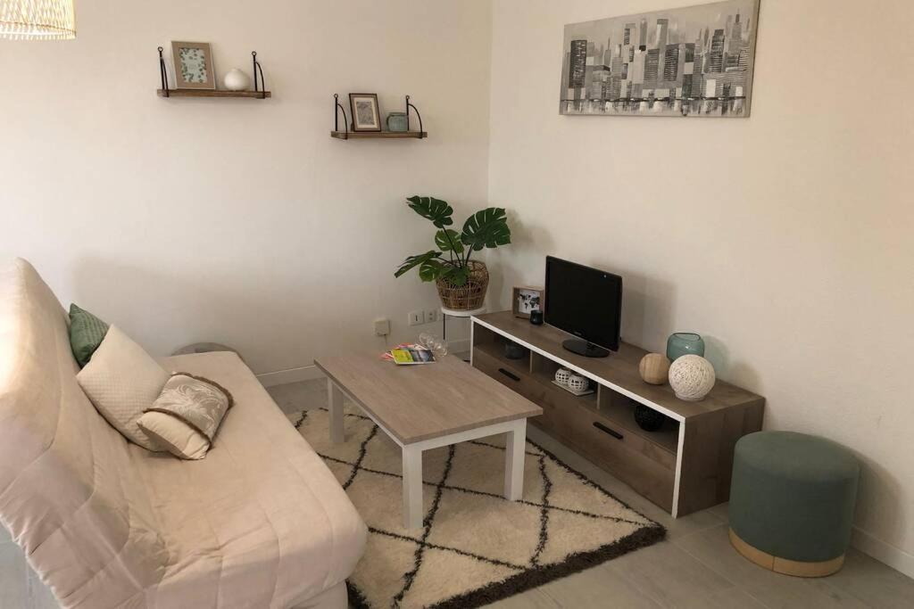 Appartement Cosy Avec Jardin A Blagnac. Экстерьер фото